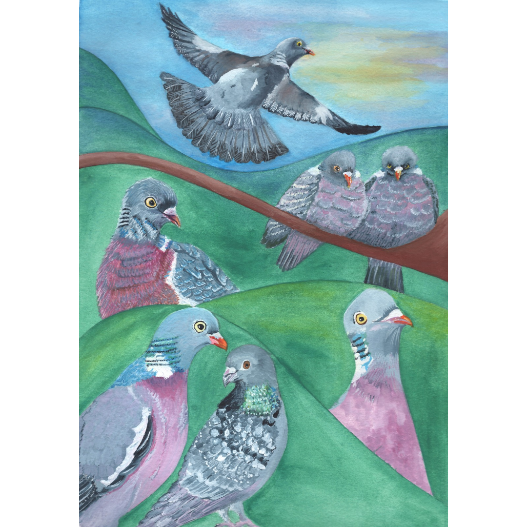 "Pigeon Portraits" A5 Signed Print