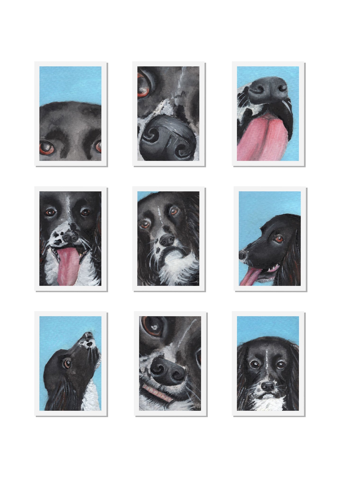 “Cocker Spaniel Passport Photos” Hand Signed Giclée Print