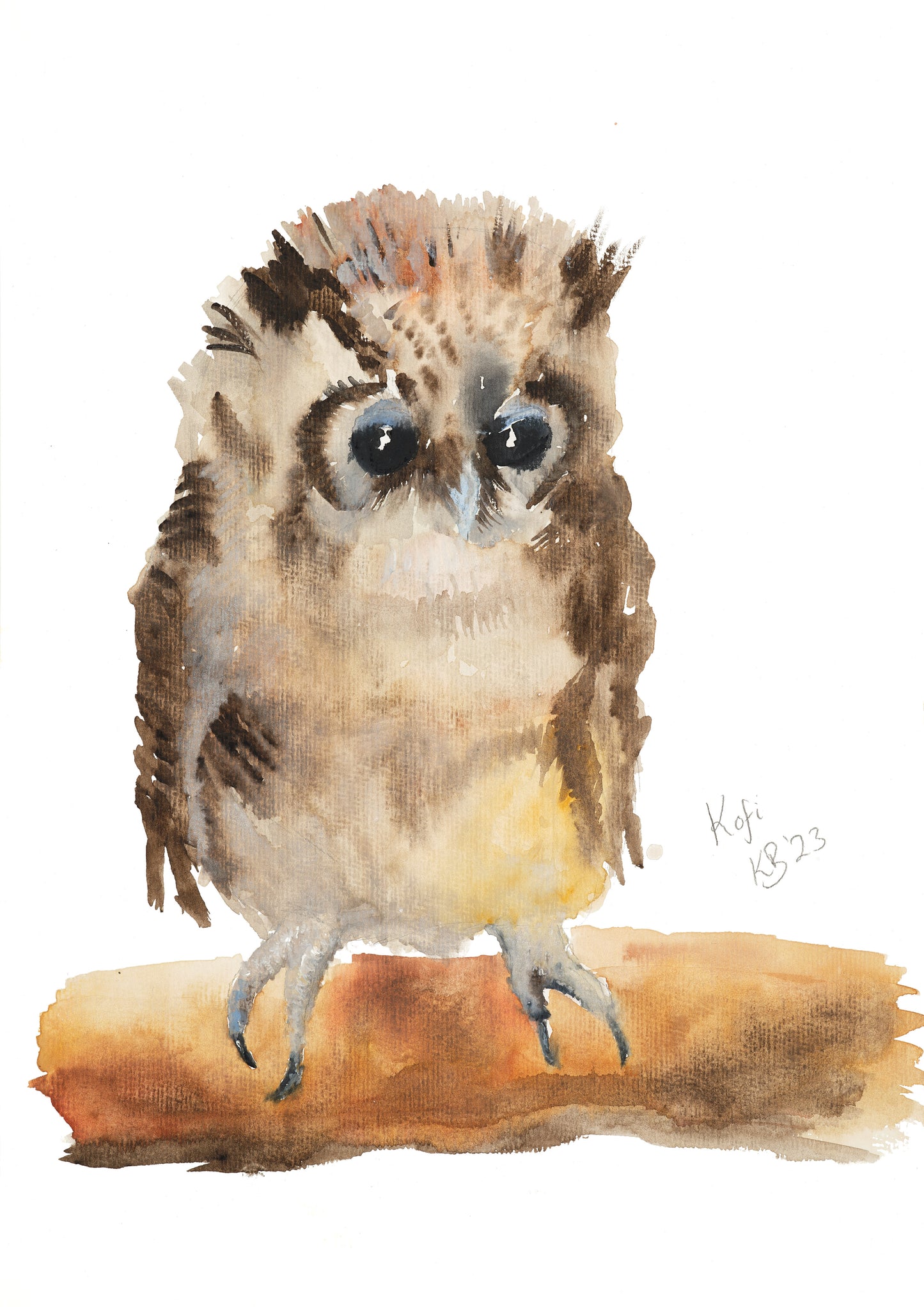“Kofi” Owl Hand Signed Giclée Print