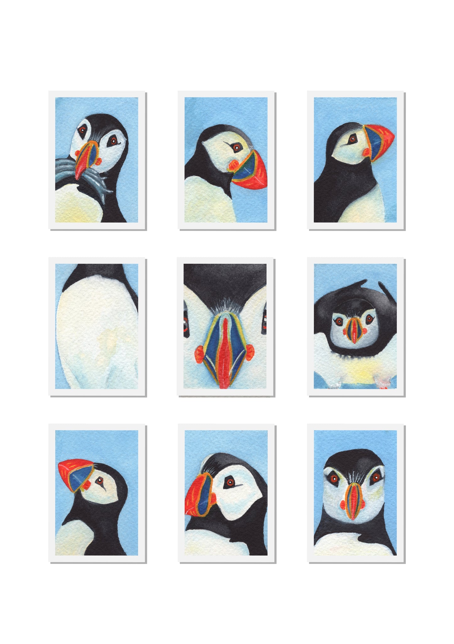 Puffin Passport Photos Signed Archival Print Mounted