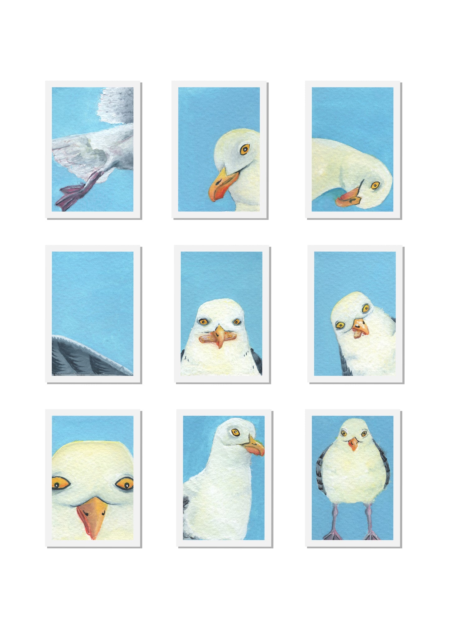 Gull Passport Photos Signed Print