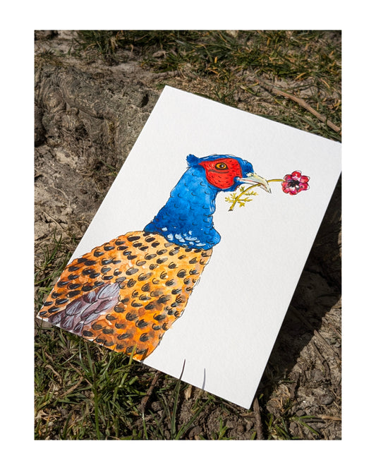 Pheasant Wildflower "Snapshot" Original Illustration Postcard