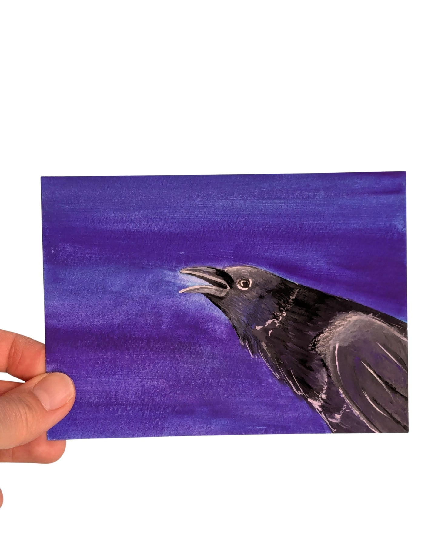 "Caw!" Crow Original Illustrated Postcard