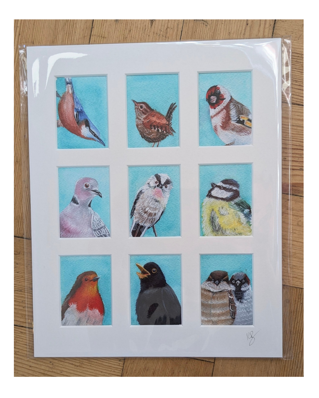Garden Birds in the Photo Booth Signed Print