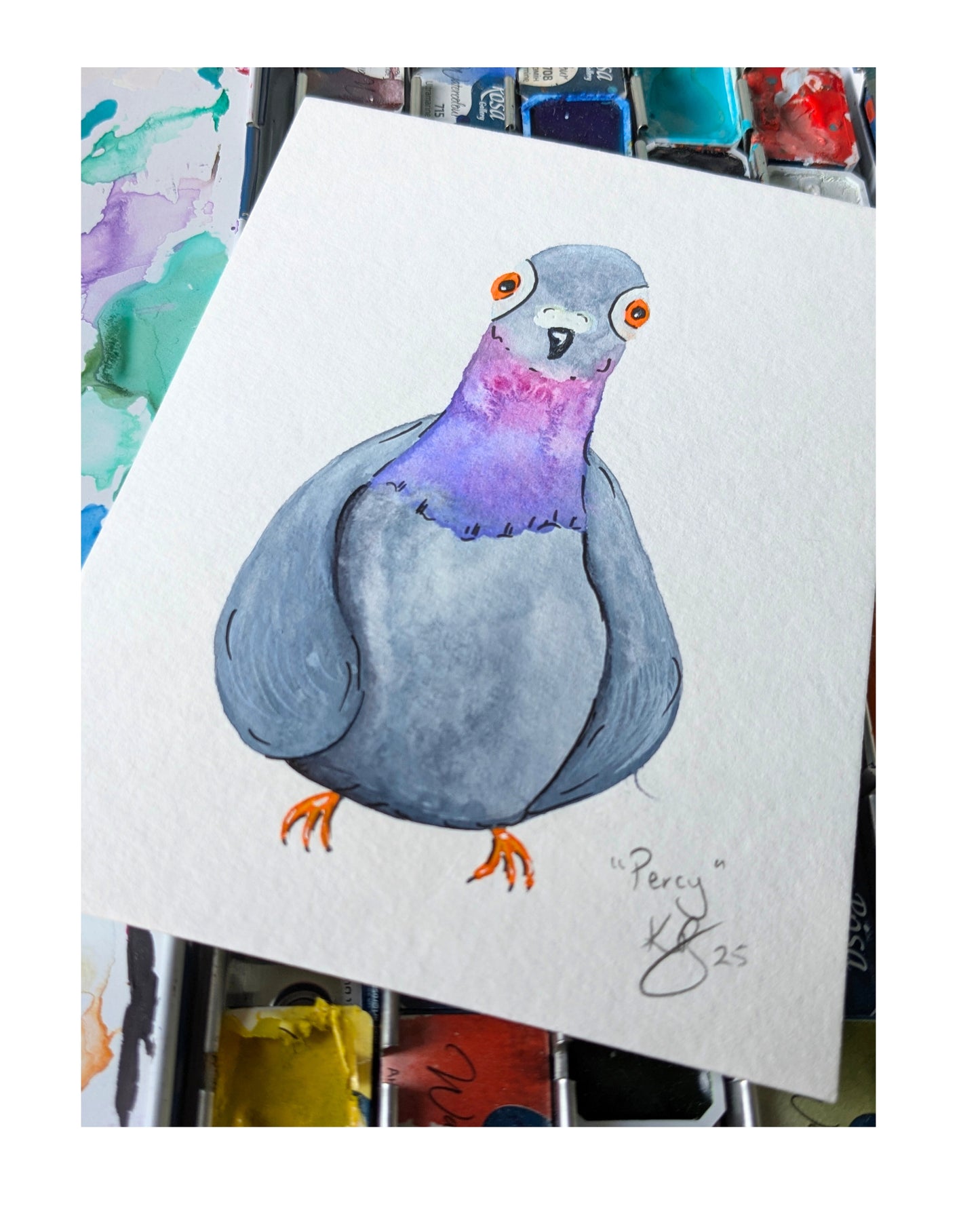Percy Pigeon "Snapshot" Original Illustration Postcard