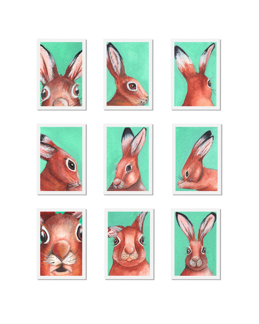 Hare Passport Photos Signed Print