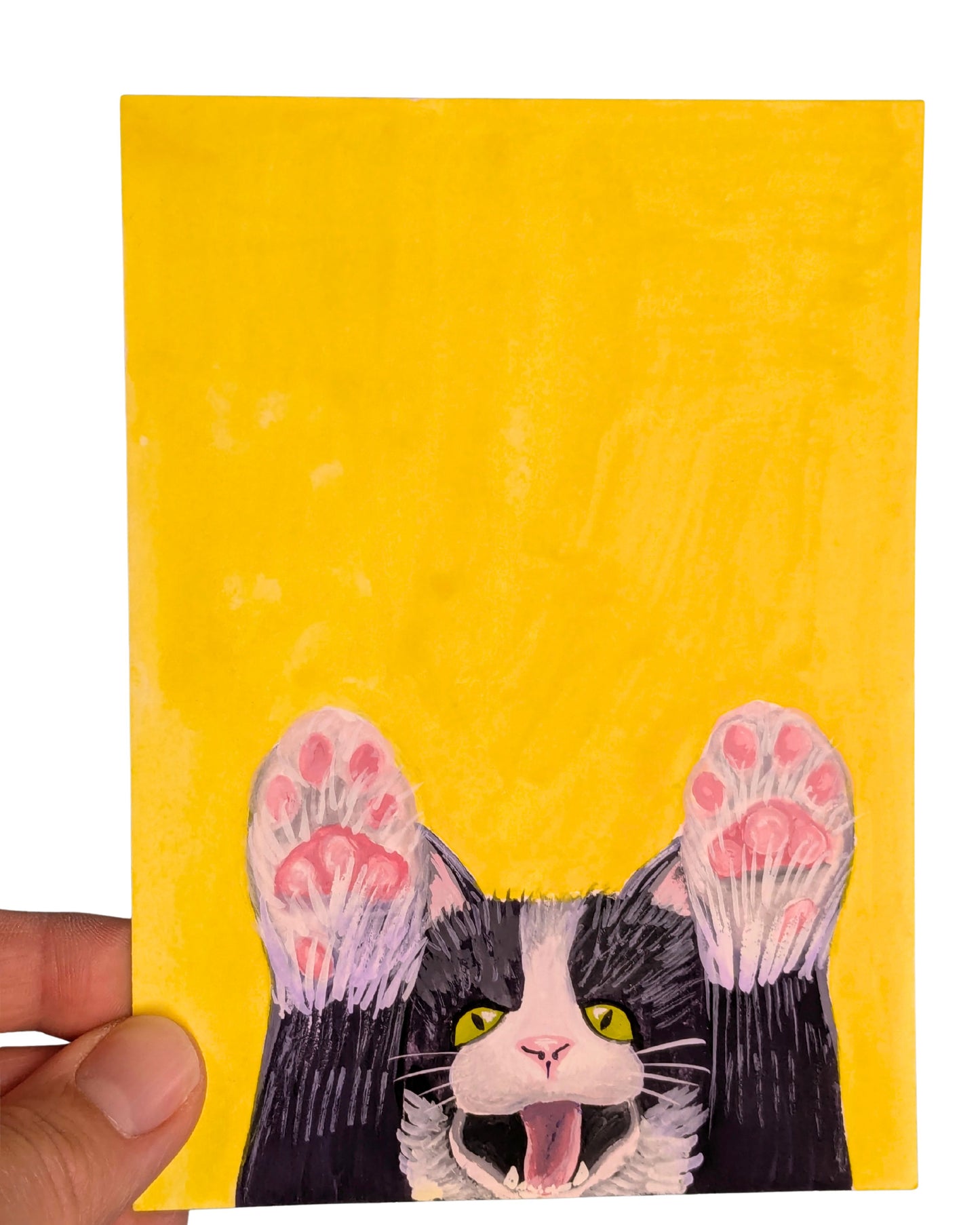 "Beans" Cat Original Illustrated Postcard