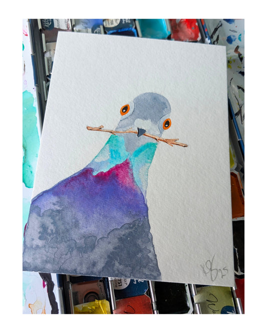 Nesting Time Pigeon "Snapshot" Original Illustration Postcard