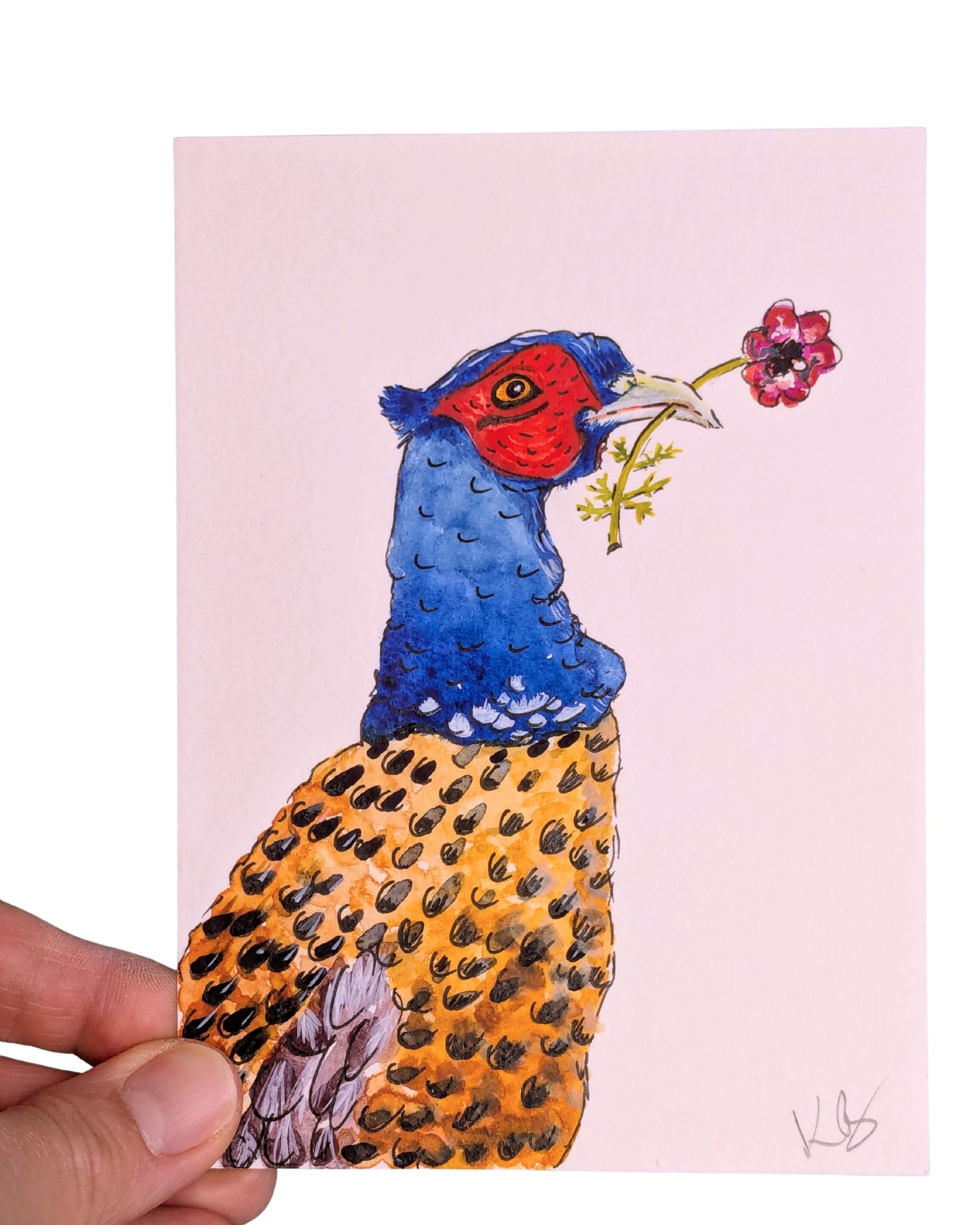 "Love Token" Pheasant Original Illustrated Postcard