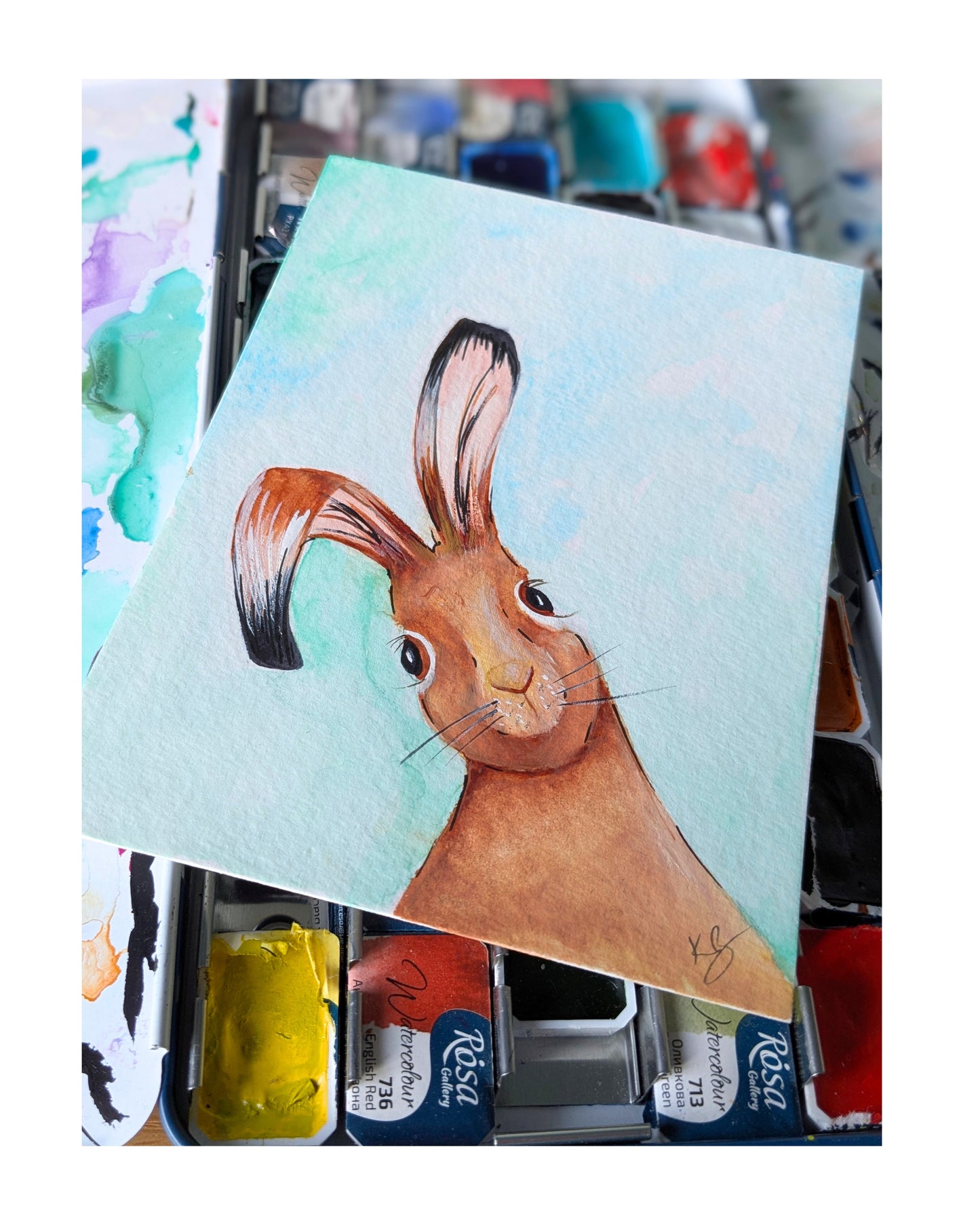 Harriet Hare "Snapshot" Original Illustration Postcard