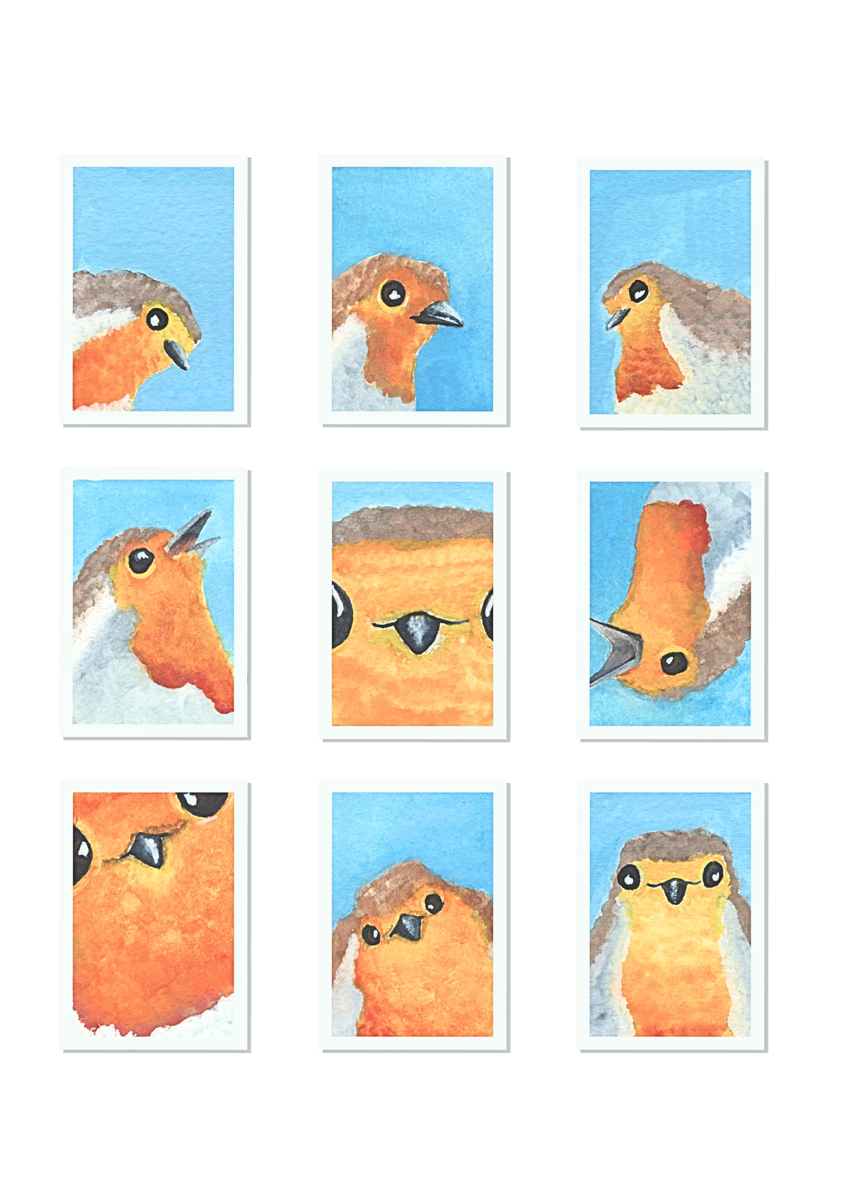 Robin Passport Photos Signed Print