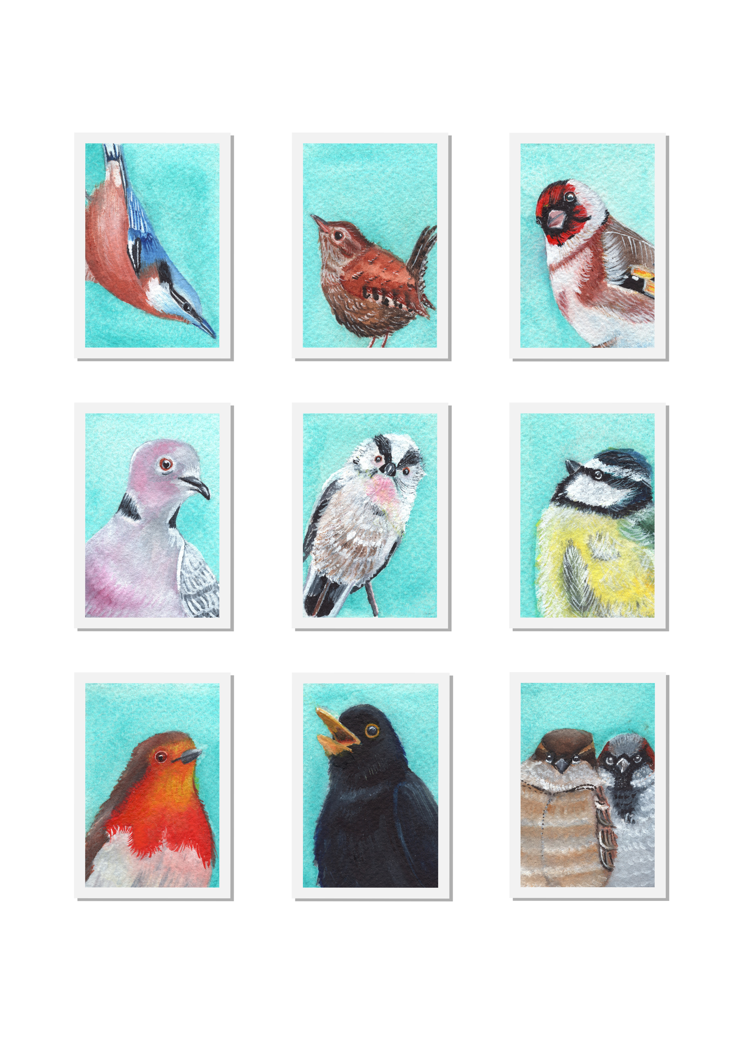 Garden Birds Passport Photos Signed Archival Print Mounted