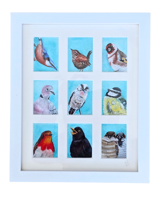 Garden Birds in the Photo Booth Signed Print