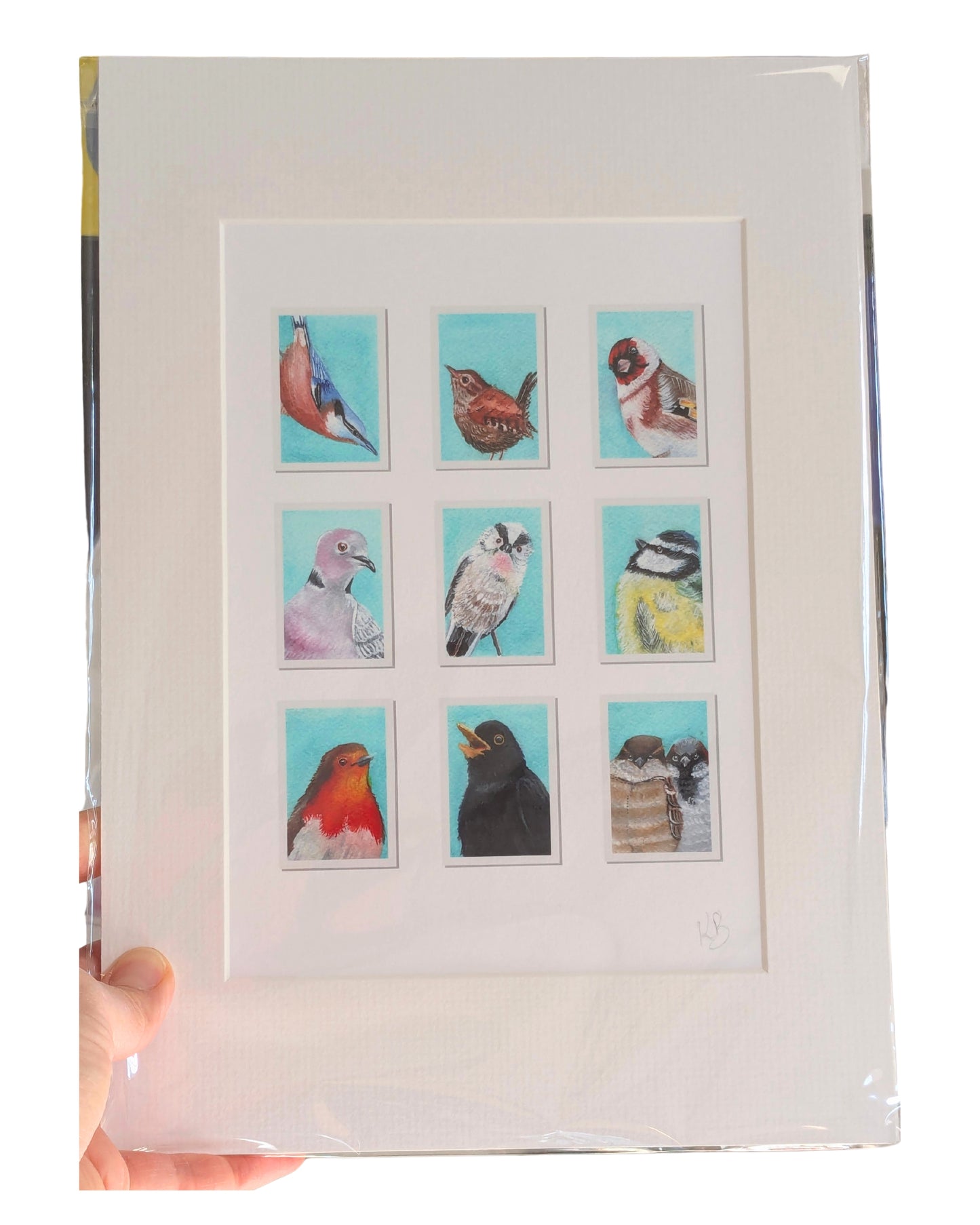 Garden Birds Passport Photos Signed Archival Print Mounted
